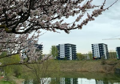 Начинается сбор идей для улучшения городской среды Таллинна