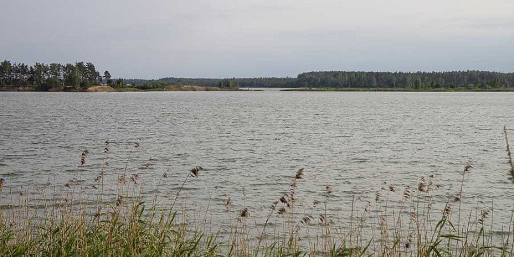 В Рапласком уезде в реке нашли утонувшего мужчину