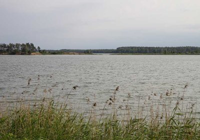 В Рапласком уезде в реке нашли утонувшего мужчину