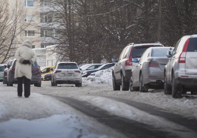 Мнения политиков: цели автоналога экологические или экономические?