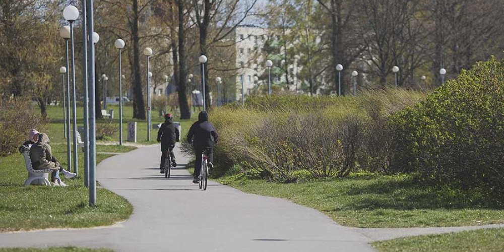 До 25 августа выставка открыта в прибрежном парке на Штромке. 