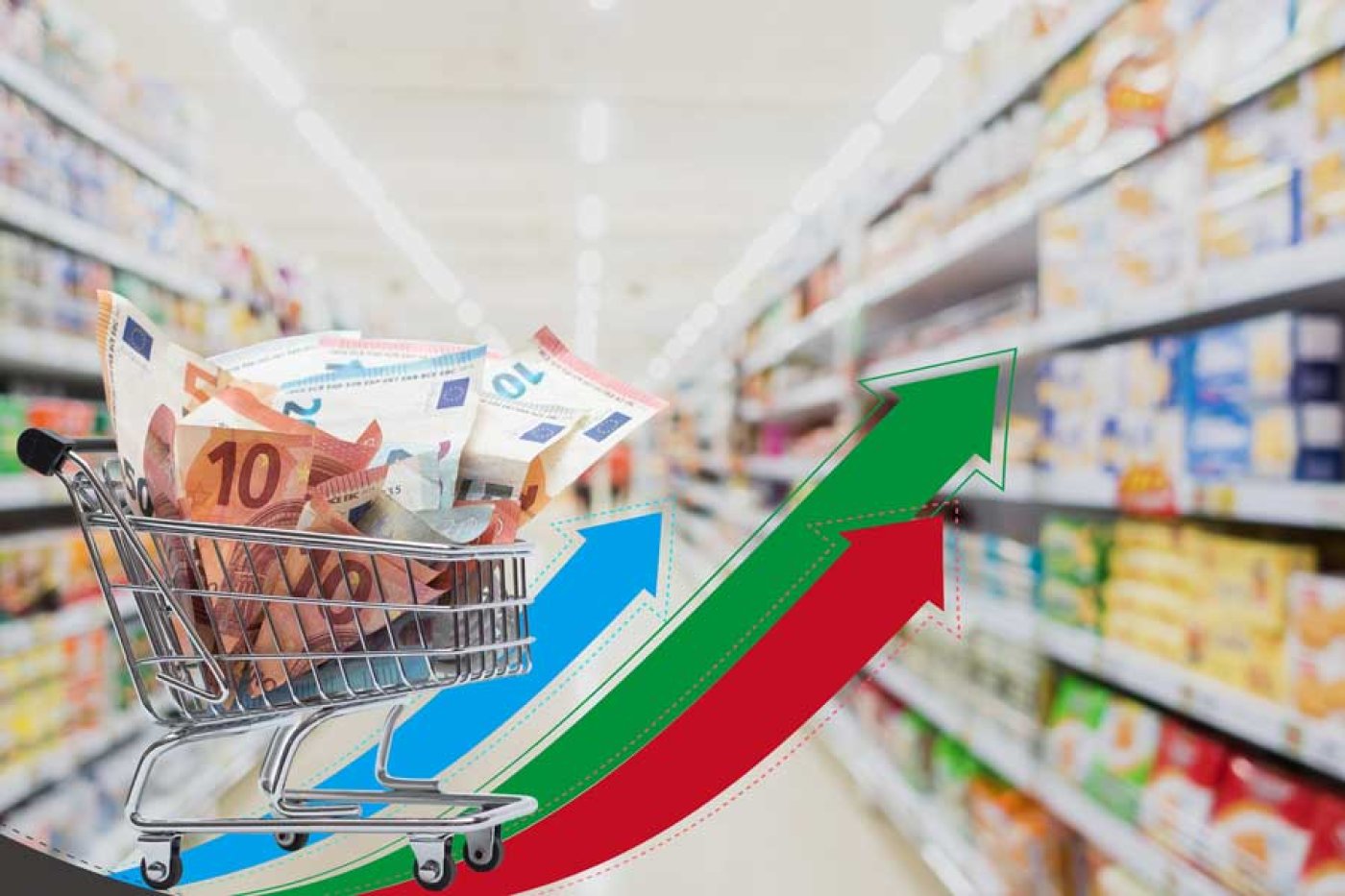 Сеть магазинов: продукты на неделю на семью можно купить за 75 евро